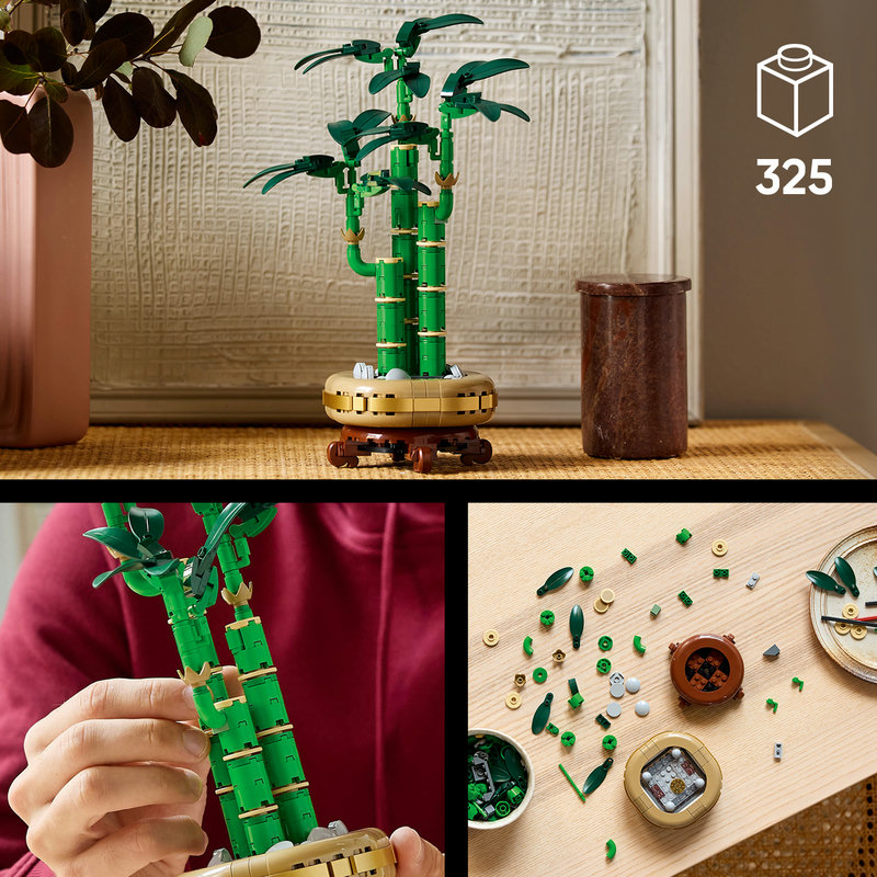 Plant mindfulness