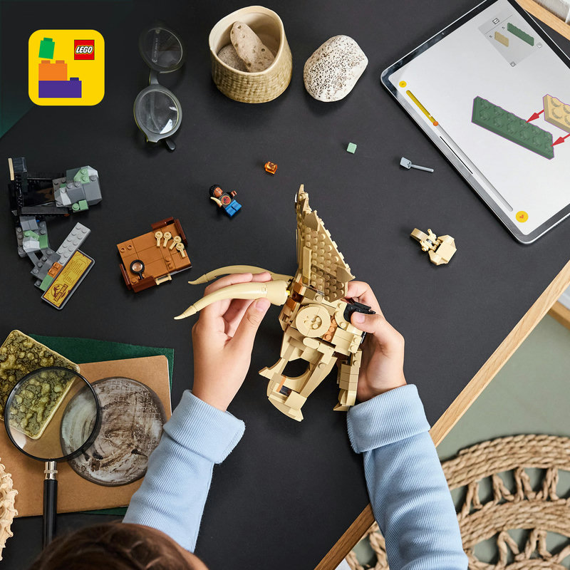 Enter a digital world of building