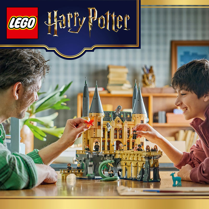 Exciting Harry Potter™ set for play and display
