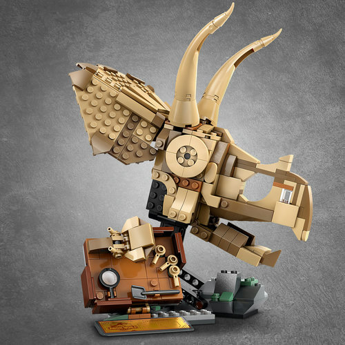 Dinosaur skull, stand and more