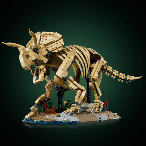 Scientifically correct animal decor