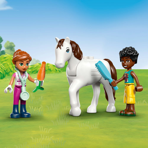 Visit the stable