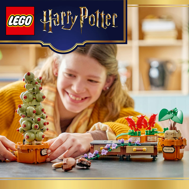 Fantasy adventure set for playful display