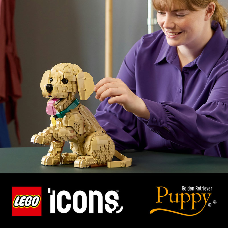 A heartwarming build for dog lovers