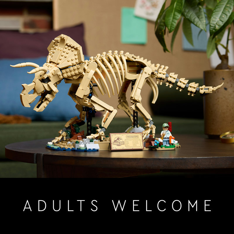 Triceratops skeleton gift for dinosaur fans