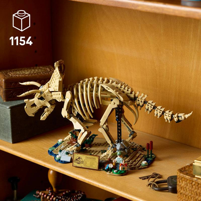 Detailed dinosaur skeleton for display