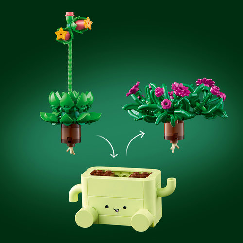 Interchangeable pots