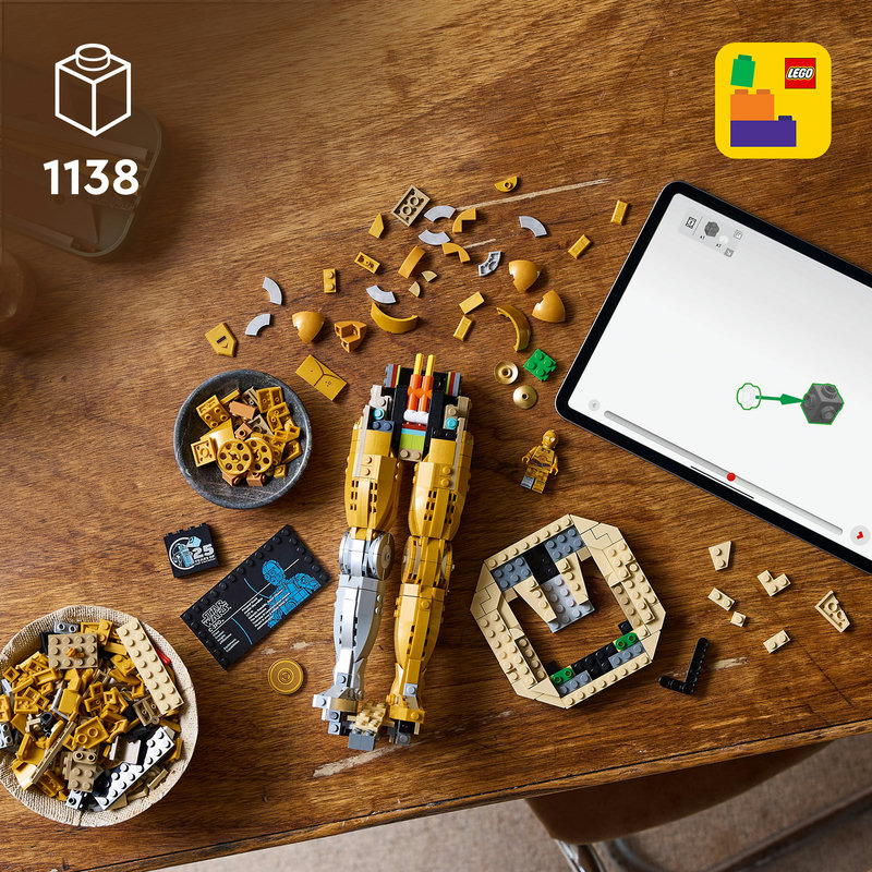 An immersive, hands-on, creative project