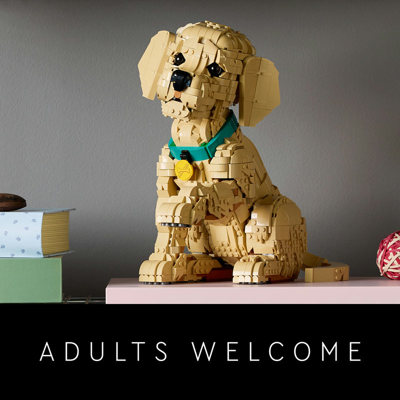 LEGO® gifts for adults