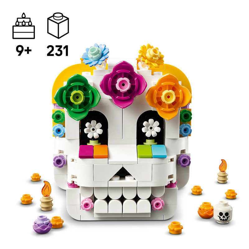 Skull building kit