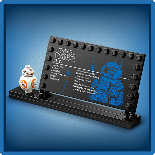 Made for display