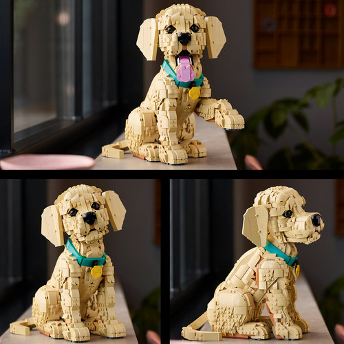 Create cute dog expressions