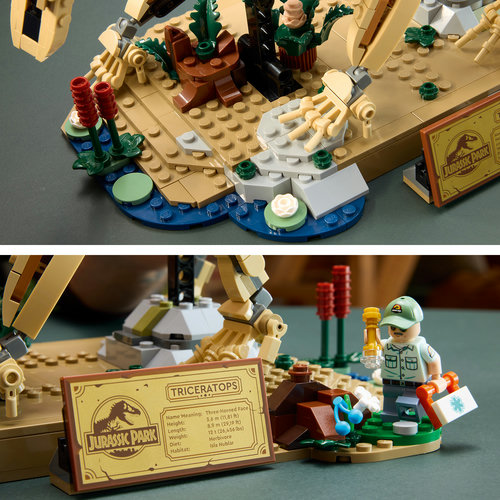 Wetland, minifigure and plaque