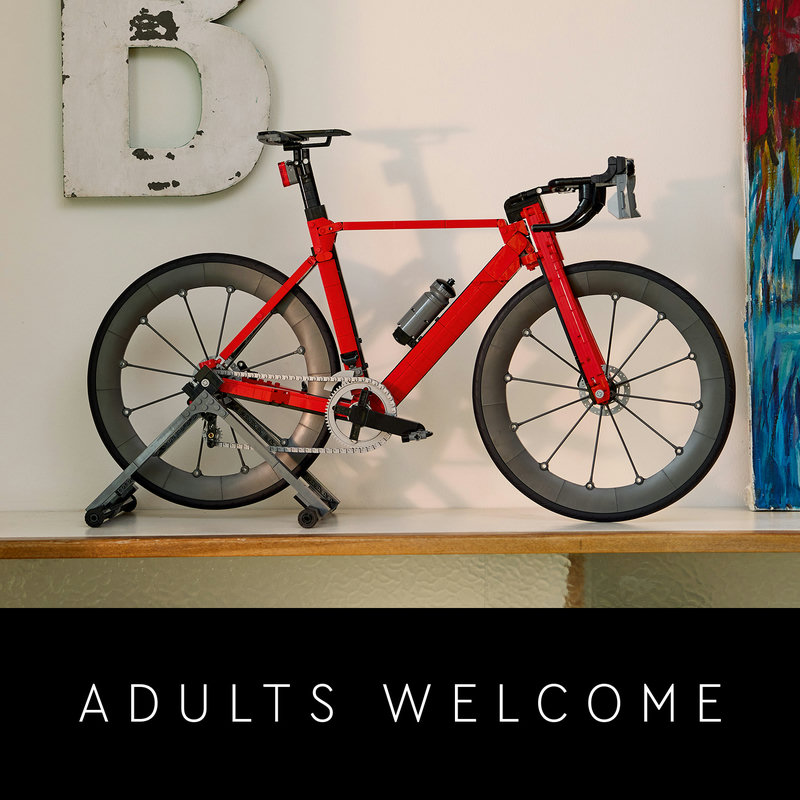 LEGO® gift ideas for adults