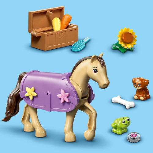 Lots of accessories