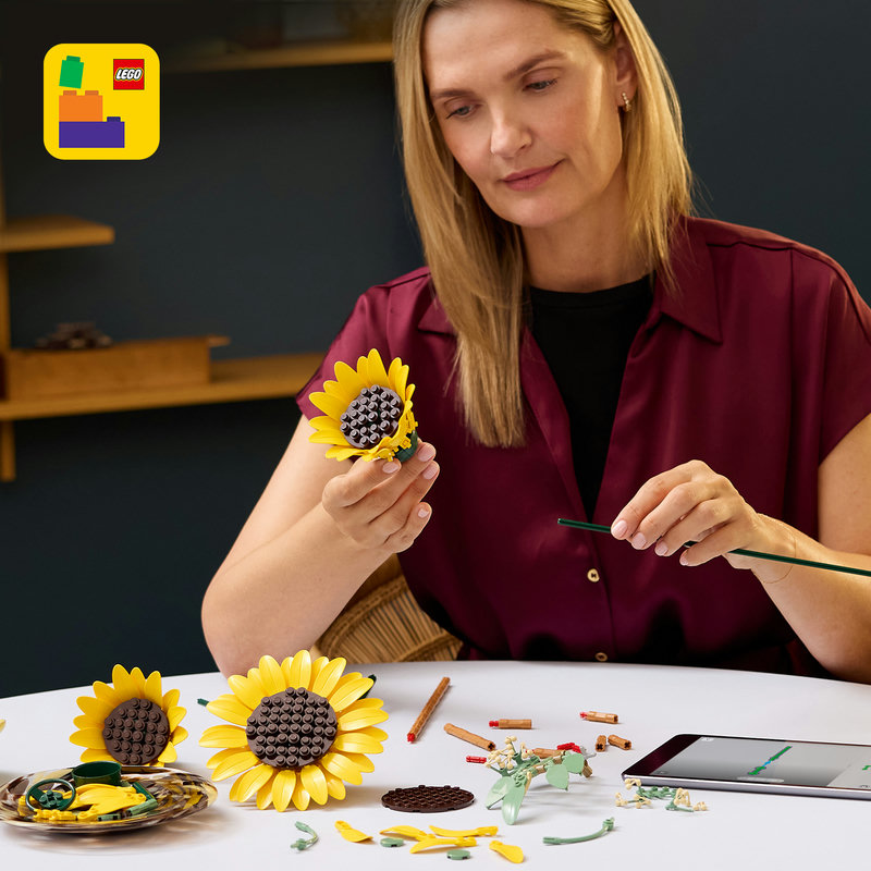 Includes interactive 3D building instructions