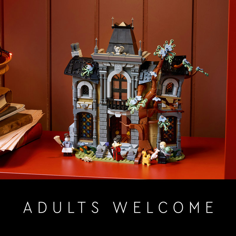 LEGO® gift ideas for adults