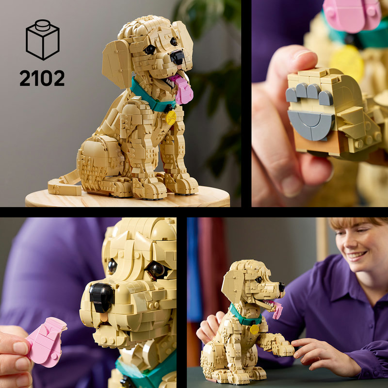 Build a faithful companion