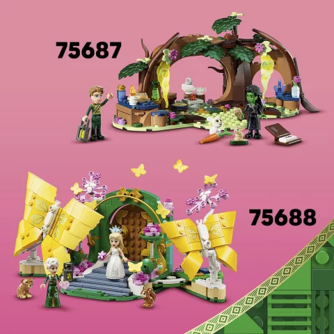 Unique gift ideas for Wicked fans