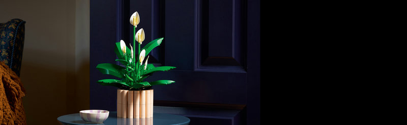 LEGO 11504 Friedenslilie Nahaufnahme der Blätter