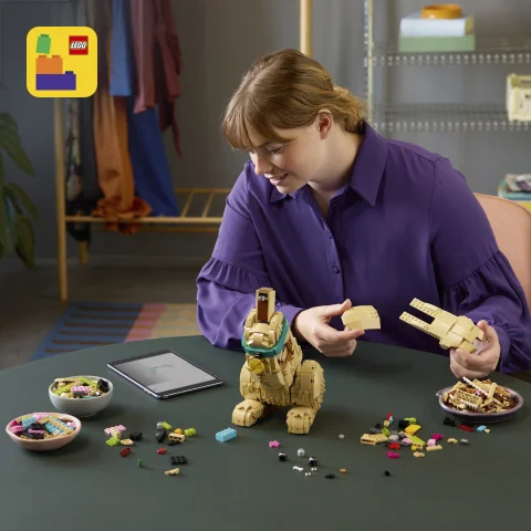 Enter a digital world of building