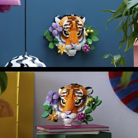 2 kiállítási lehetőség