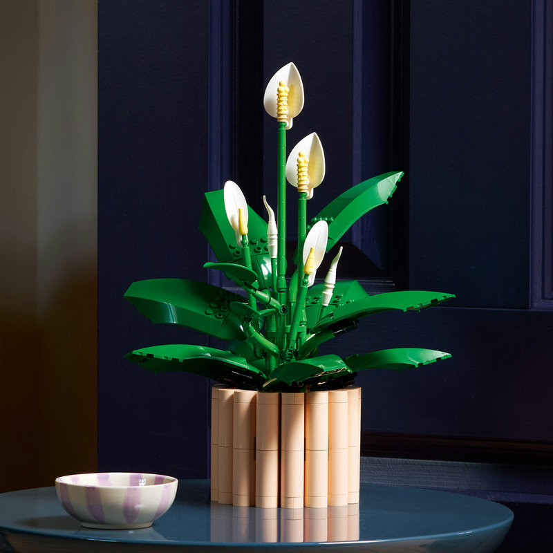 LEGO 11504 Friedenslilie Seitenansicht