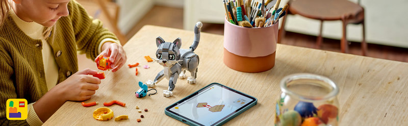 LEGO-Set 31163 Graue Katze – Lifestyle-Szene mit Kind beim Spielen