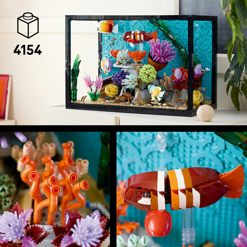 Een vleugje kleur voor in huis of op het werk