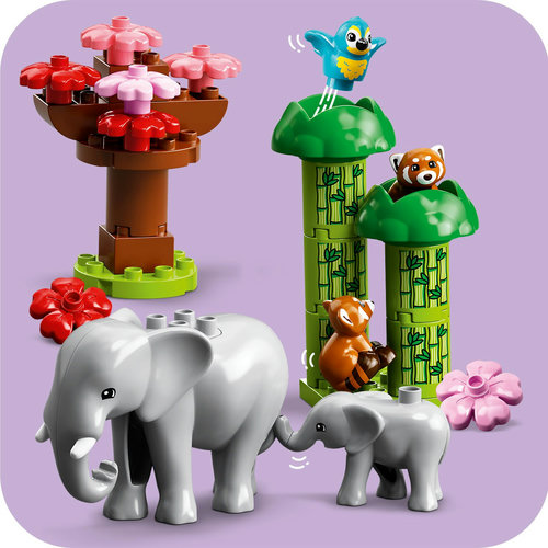 LEGO® - Tiere Asiens 10974 DUPLO® Wilde