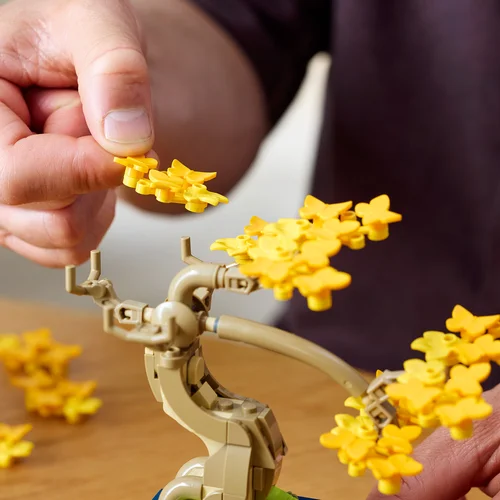 Alakítsd kedved szerint!