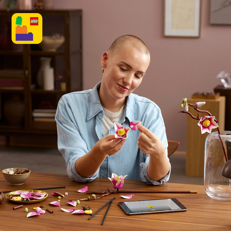 Включва интерактивни 3D инструкции за конструиране