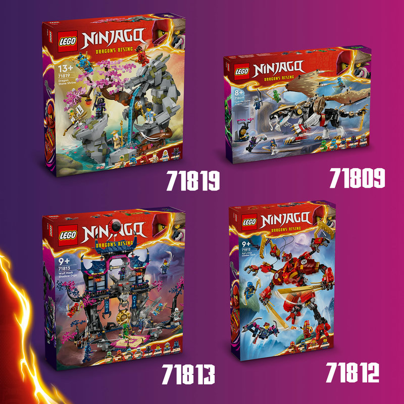 Meer LEGO® NINJAGO® sets om te verzamelen
