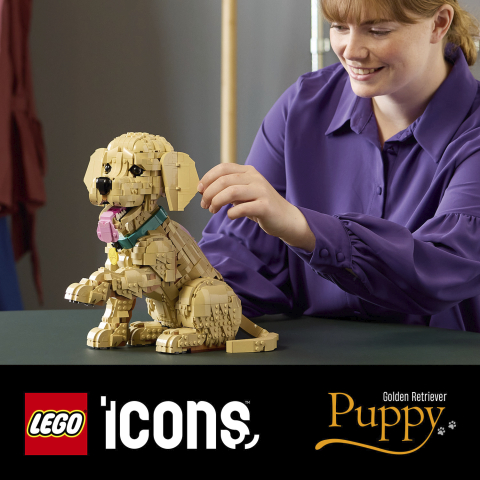 LEGO 11384 Golden Retriever Welpe Detailansicht