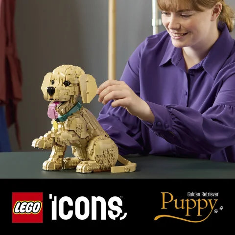 A heartwarming build for dog lovers