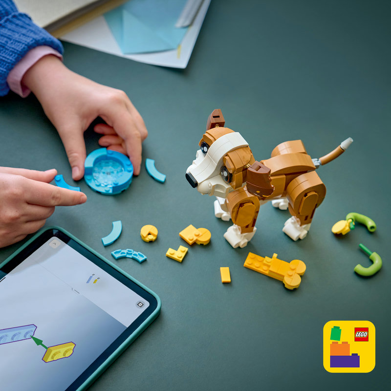 Includes interactive 3D building instructions