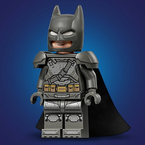 Special Batman™ minifigure