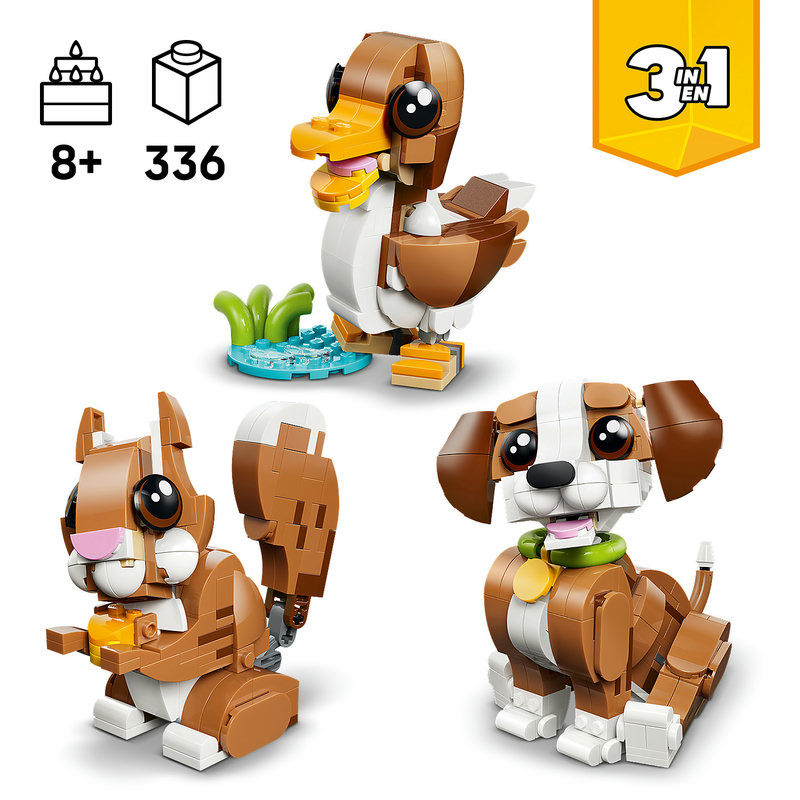 Fun build-and-play experience