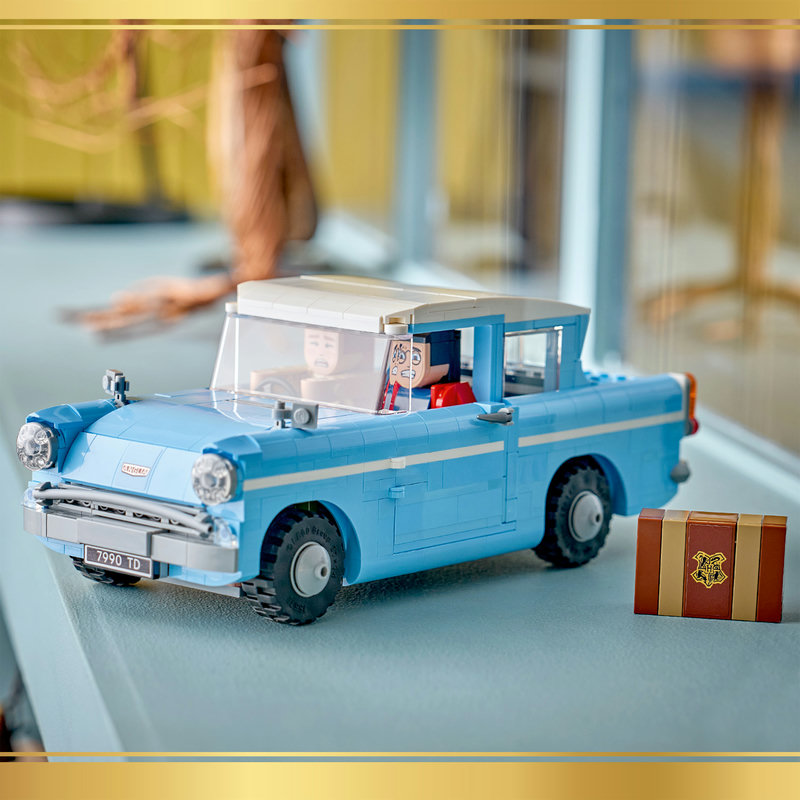 Geweldig Harry Potter™ cadeau voor tienerfans