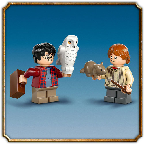 4 LEGO® Harry Potter™ personages