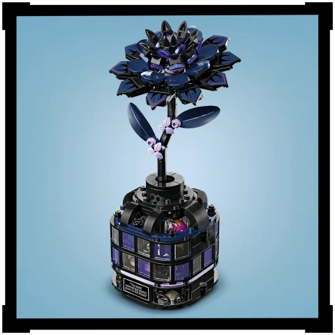 A fekete dália lezárja a vázát