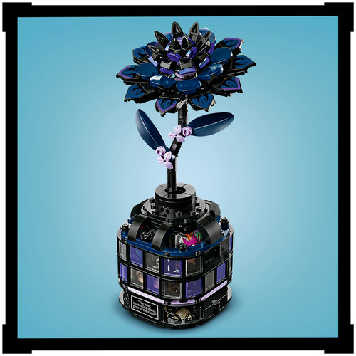 Zwarte dahliabloem vergrendelt vaas