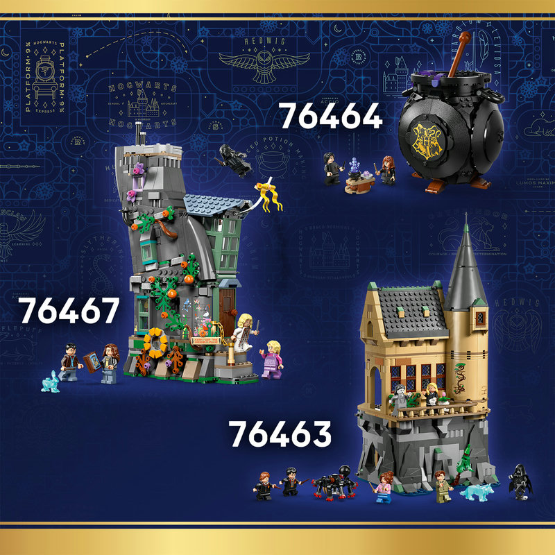 Verzamelbare LEGO® Harry Potter™ cadeaus voor fans