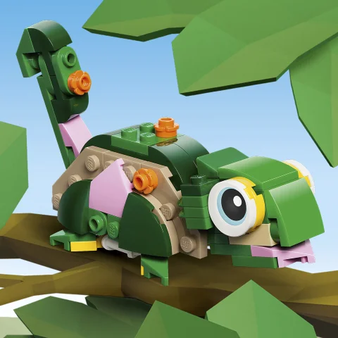 Lizard model