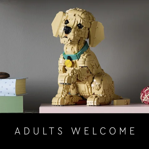 LEGO® gifts for adults