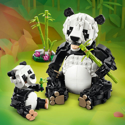 Panda family fun