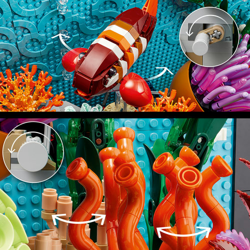 Zwemmende vissen en dansend koraal