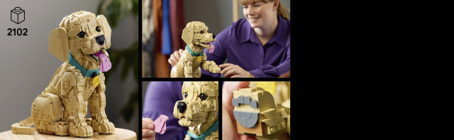 LEGO 11384 Golden Retriever Welpe Seitenansicht