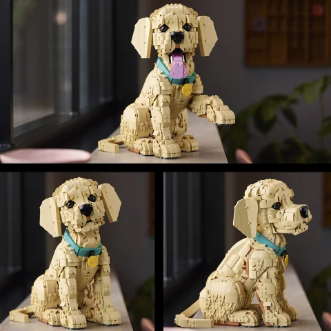 Create cute dog expressions