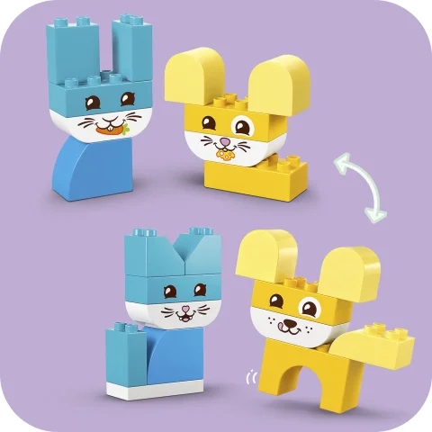 Pet parade